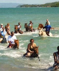 Horse back riding