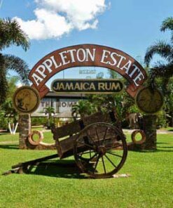 Appleton Estate Rum Tour