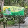 Dunns river falls ocho rios