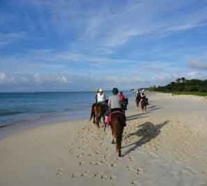 horse back ride and swim