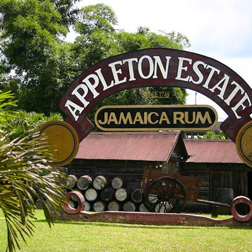 Juta Tours and Airport Taxi Driver- Kingston, Montego Bay Airport, Ocho Rios Lucea