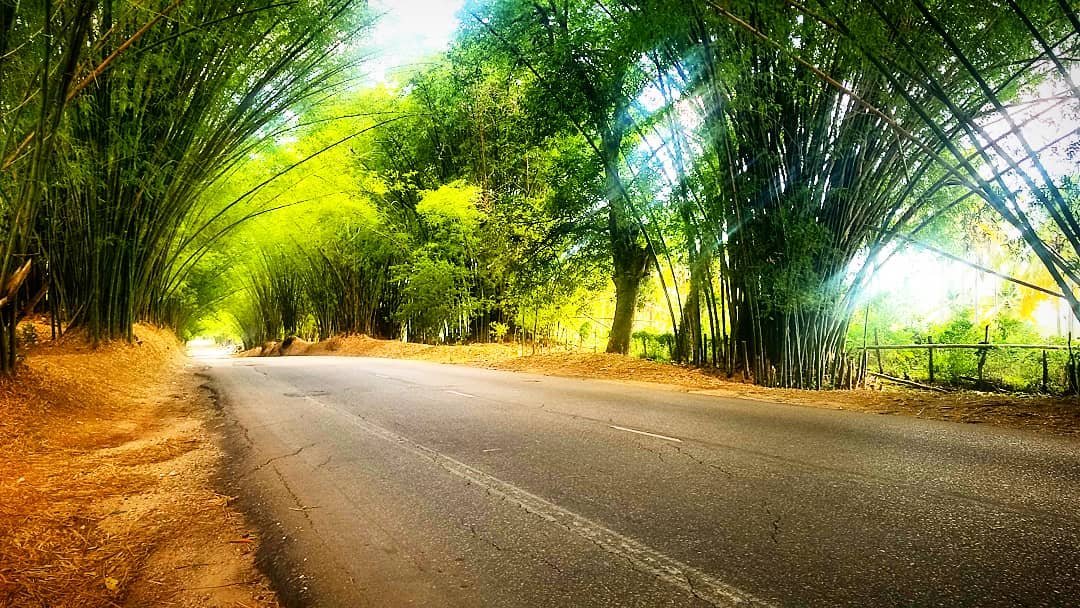 Juta Tours and Airport Taxi Driver- Kingston, Montego Bay Airport, Ocho Rios Lucea